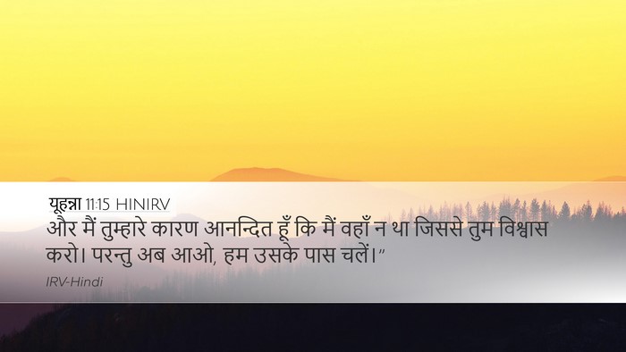 यूहन्ना 11:15 HINIRV Desktop Wallpaper - और मैं तुम्हारे - Desktop Bible Verse Wallpaper