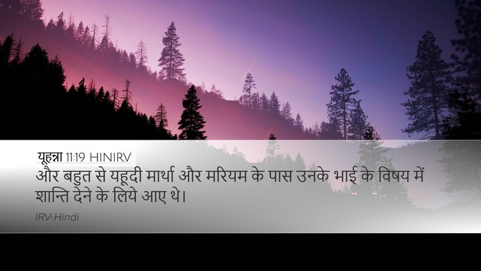 यूहन्ना 11:19 HINIRV Bible Verse Image