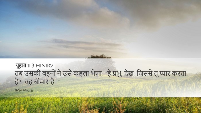 यूहन्ना 11:3 HINIRV Bible Verse Image
