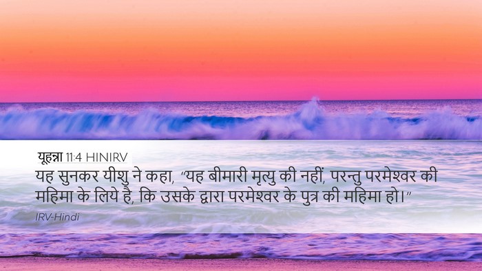 यूहन्ना 11:4 HINIRV Bible Verse Image