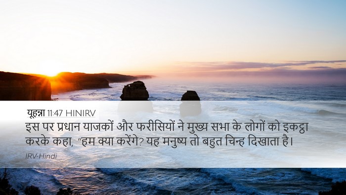 यूहन्ना 11:47 HINIRV Bible Verse Image