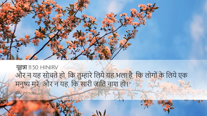 यूहन्ना 11:50 HINIRV Bible Verse Image