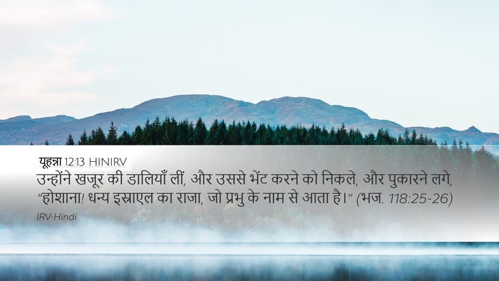यूहन्ना 12:13 HINIRV Bible Verse Image