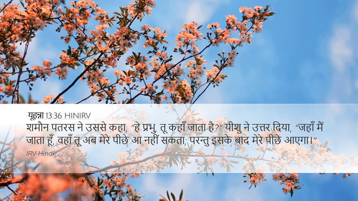 यूहन्ना 13:36 HINIRV Bible Verse Image