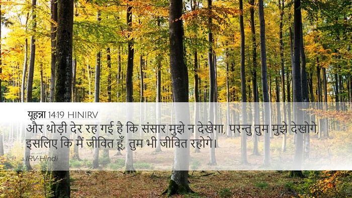 यूहन्ना 14:19 HINIRV Bible Verse Image