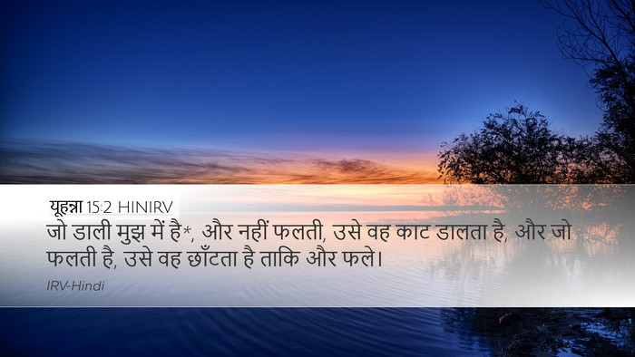 यूहन्ना 15:2 HINIRV Bible Verse Image