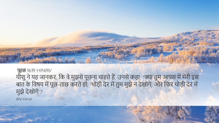 यूहन्ना 16:19 HINIRV Bible Verse Image