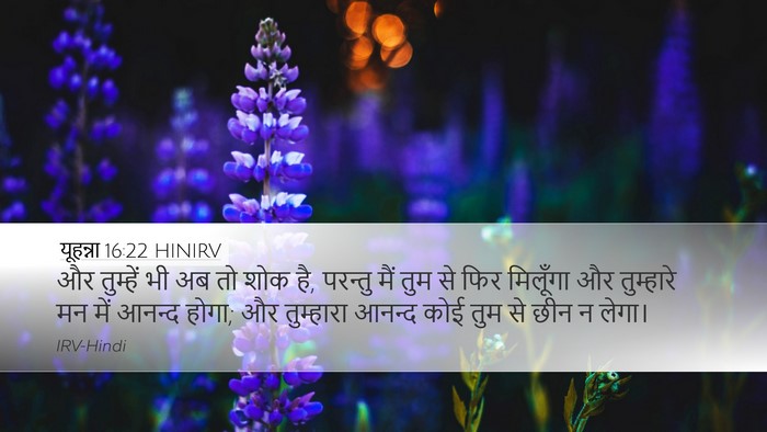 यूहन्ना 16:22 HINIRV Bible Verse Image