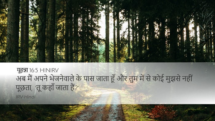 यूहन्ना 16:5 HINIRV Bible Verse Image