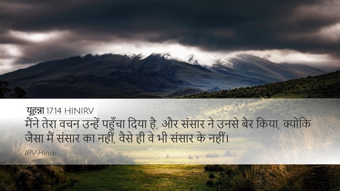 यूहन्ना 17:14 HINIRV Bible Verse Image