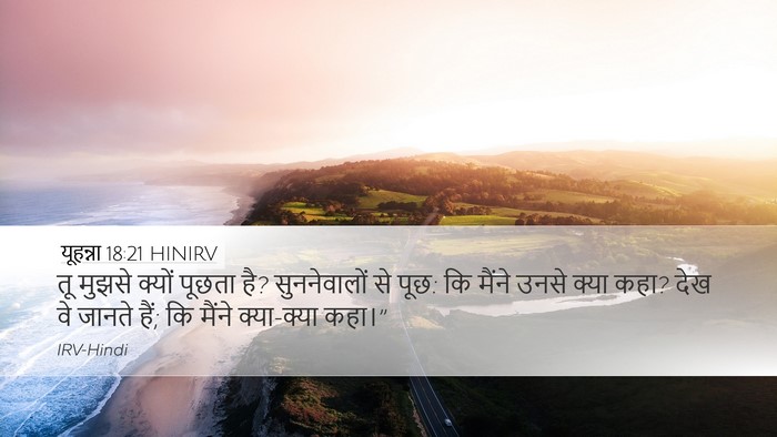 यूहन्ना 18:21 HINIRV Desktop Wallpaper - तू मुझसे क्यों - Desktop Bible Verse Wallpaper