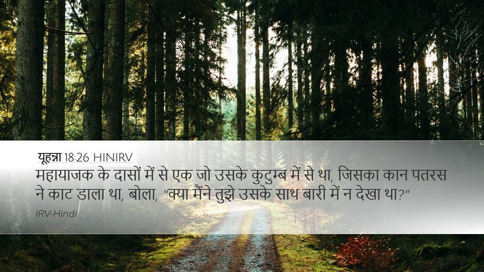 यूहन्ना 18:26 HINIRV Bible Verse Image