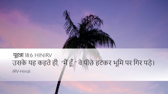 यूहन्ना 18:6 HINIRV Bible Verse Image