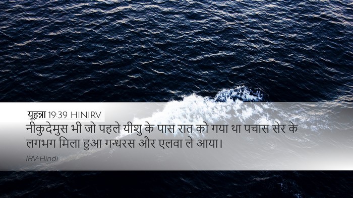 यूहन्ना 19:39 HINIRV Bible Verse Image