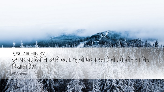 यूहन्ना 2:18 HINIRV Bible Verse Image