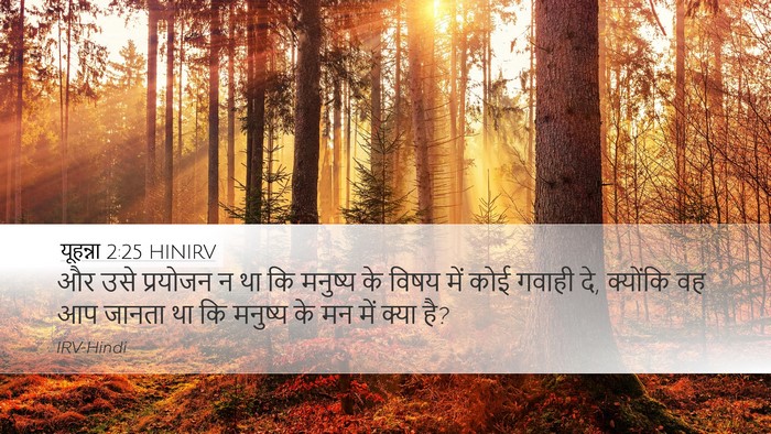 यूहन्ना 2:25 HINIRV Bible Verse Image