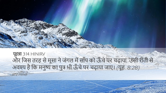 यूहन्ना 3:14 HINIRV Bible Verse Image