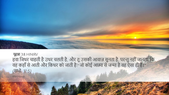 यूहन्ना 3:8 HINIRV Desktop Wallpaper - हवा जिधर चाहती है - Desktop Bible Verse Wallpaper