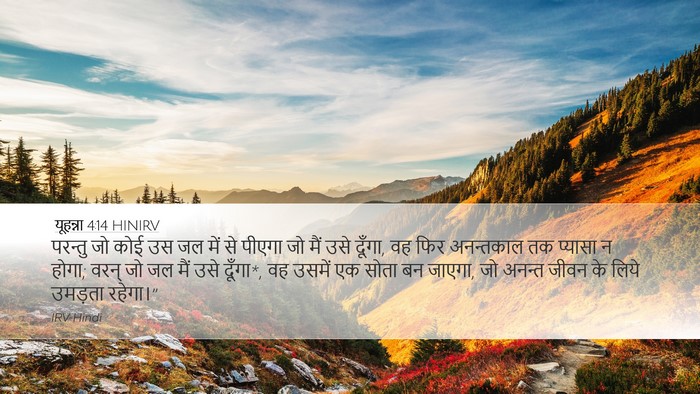 यूहन्ना 4:14 HINIRV Bible Verse Image