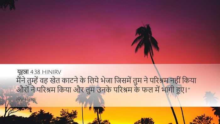 यूहन्ना 4:38 HINIRV Bible Verse Image
