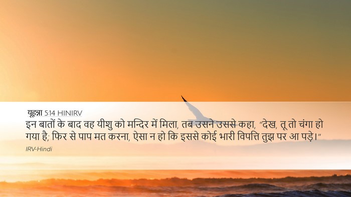 यूहन्ना 5:14 HINIRV Bible Verse Image