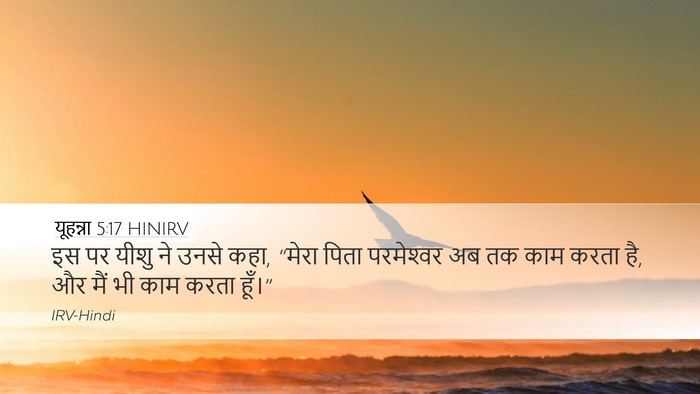 यूहन्ना 5:17 HINIRV Bible Verse Image