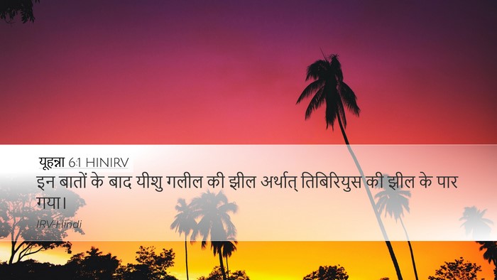 यूहन्ना 6:1 HINIRV Bible Verse Image
