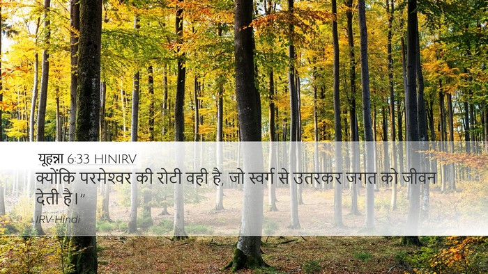 यूहन्ना 6:33 HINIRV Bible Verse Image