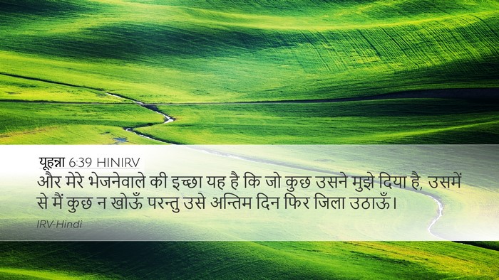 यूहन्ना 6:39 HINIRV Bible Verse Image
