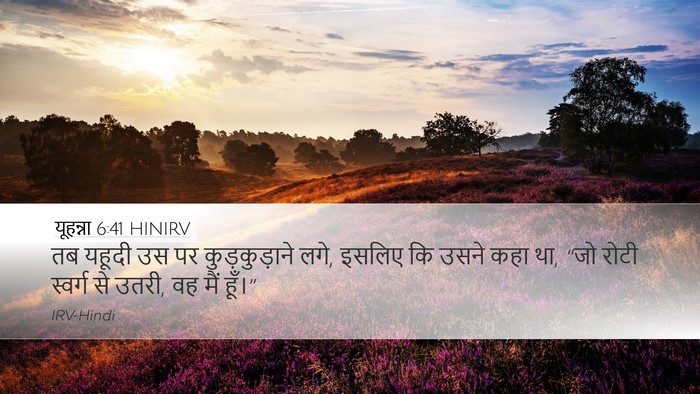 यूहन्ना 6:41 HINIRV Bible Verse Image
