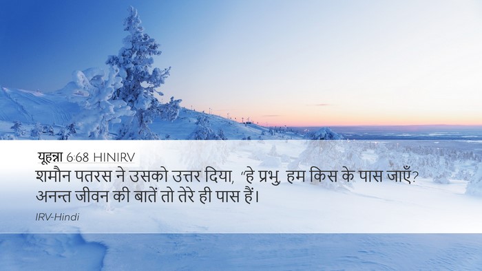 यूहन्ना 6:68 HINIRV Bible Verse Image