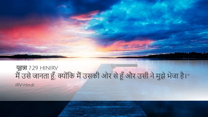 यूहन्ना 7:29 HINIRV Bible Verse Image
