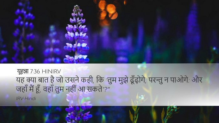 यूहन्ना 7:36 HINIRV Bible Verse Image