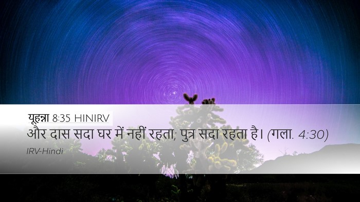 यूहन्ना 8:35 HINIRV Bible Verse Image