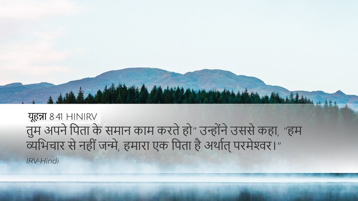 यूहन्ना 8:41 HINIRV Bible Verse Image