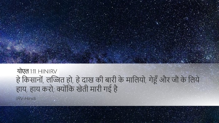 योएल 1:11 HINIRV Bible Verse Image