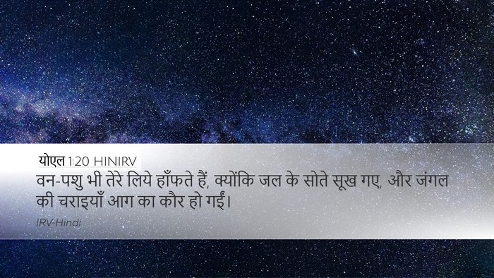 योएल 1:20 HINIRV Bible Verse Image