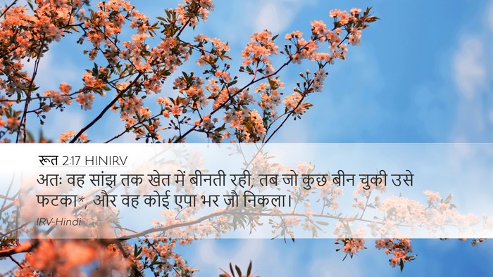 रूत 2:17 HINIRV Desktop Wallpaper - अतः वह सांझ तक खेत - Desktop Bible Verse Wallpaper