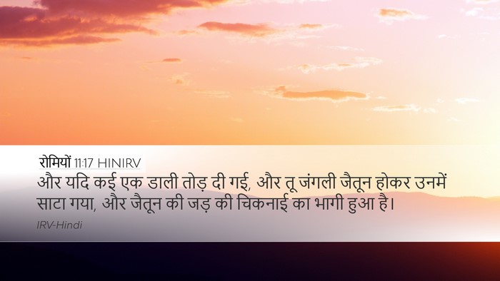 रोमियों 11:17 HINIRV Bible Verse Image