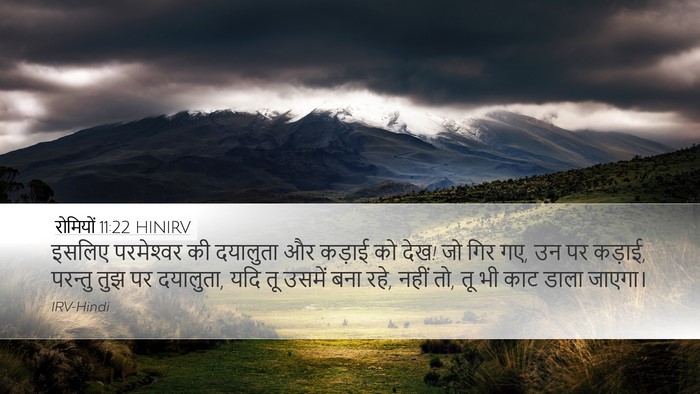 रोमियों 11:22 HINIRV Bible Verse Image