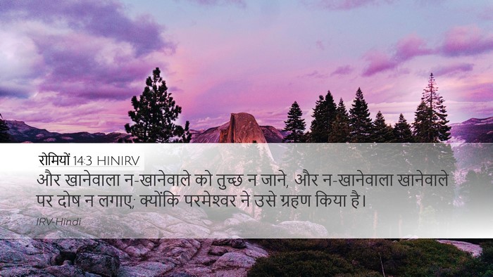 रोमियों 14:3 HINIRV Bible Verse Image