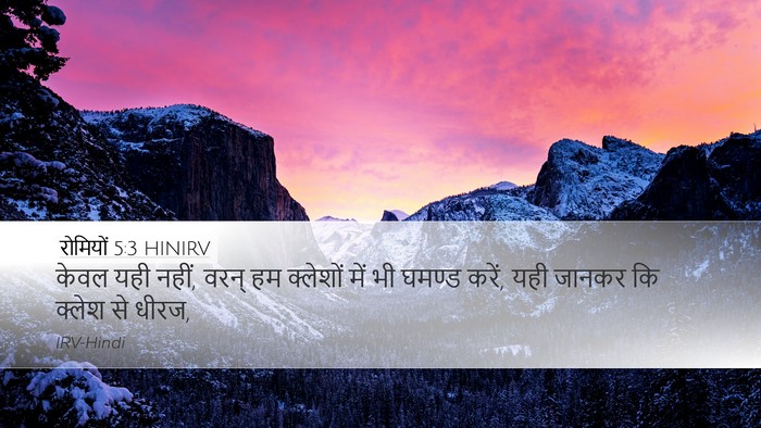 रोमियों 5:3 HINIRV Bible Verse Image