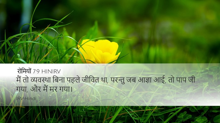 रोमियों 7:9 HINIRV Bible Verse Image