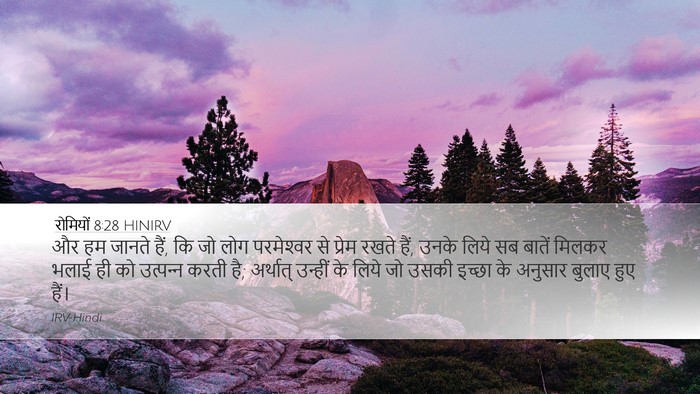 रोमियों 8:28 HINIRV Bible Verse Image