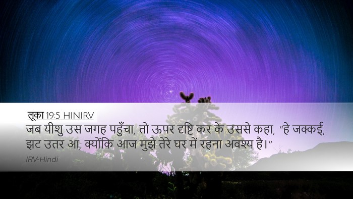 लूका 19:5 HINIRV Bible Verse Image