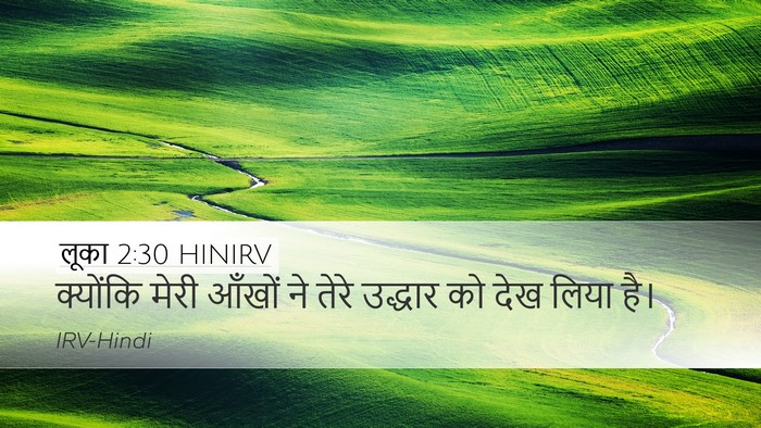 लूका 2:30 HINIRV Bible Verse Image
