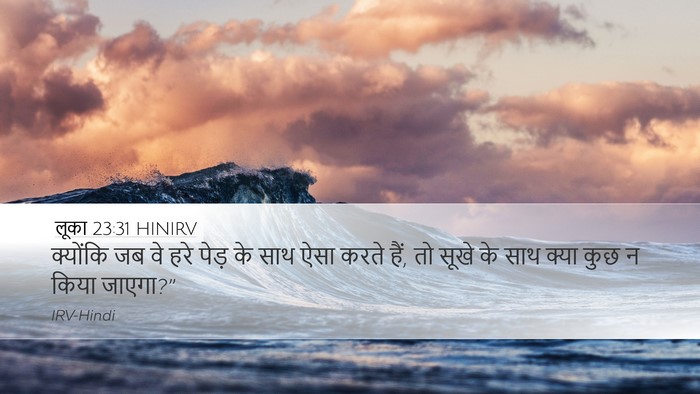 लूका 23:31 HINIRV Bible Verse Image
