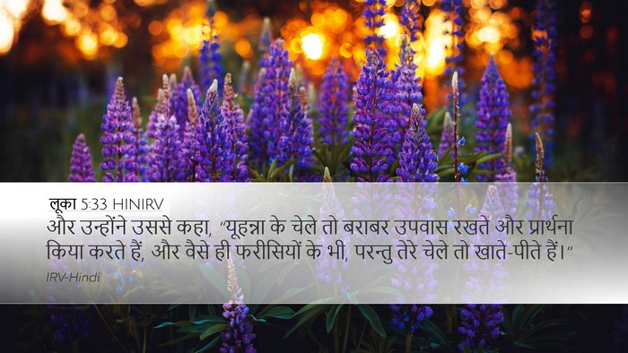 लूका 5:33 HINIRV Bible Verse Image
