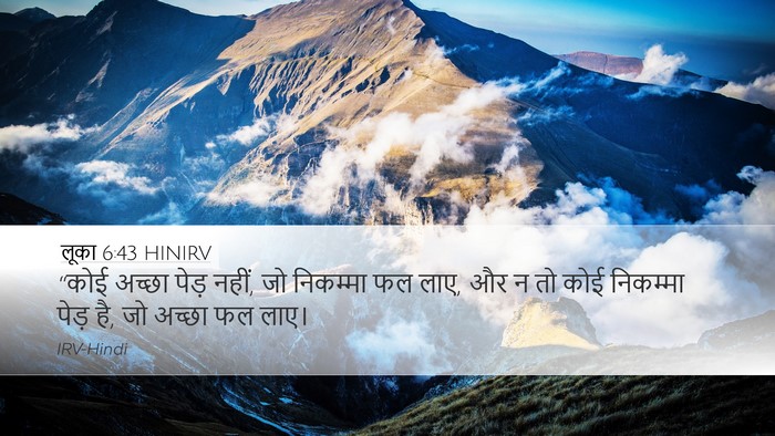 लूका 6:43 HINIRV Bible Verse Image