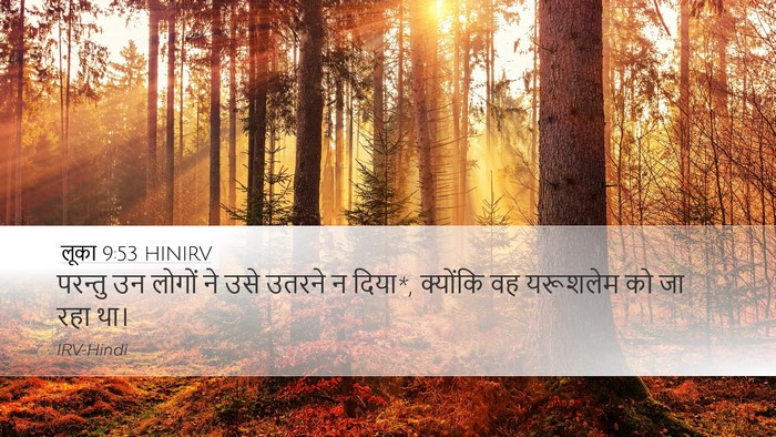 लूका 9:53 HINIRV Bible Verse Image